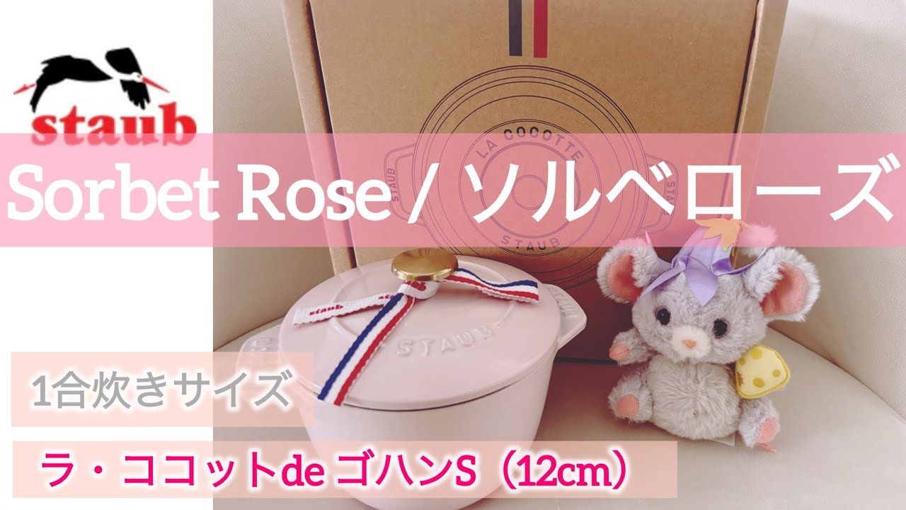 ストウブ新色〉ソルベローズ、ラココットデゴハンS（12cm）購入 - YouTube