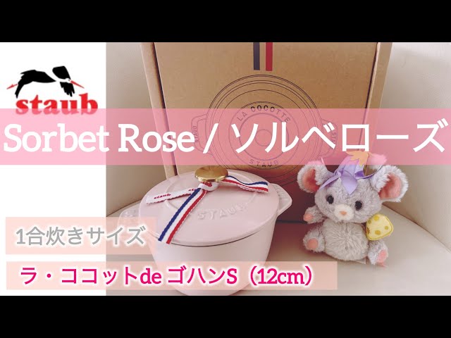 ストウブ新色〉ソルベローズ、ラココットデゴハンS（12cm）購入 - YouTube