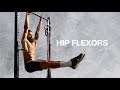 Best Hip Flexor Exercises