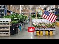 Обзор растений в Lowe's. Нью-Йорк.Бруклин с подругой.