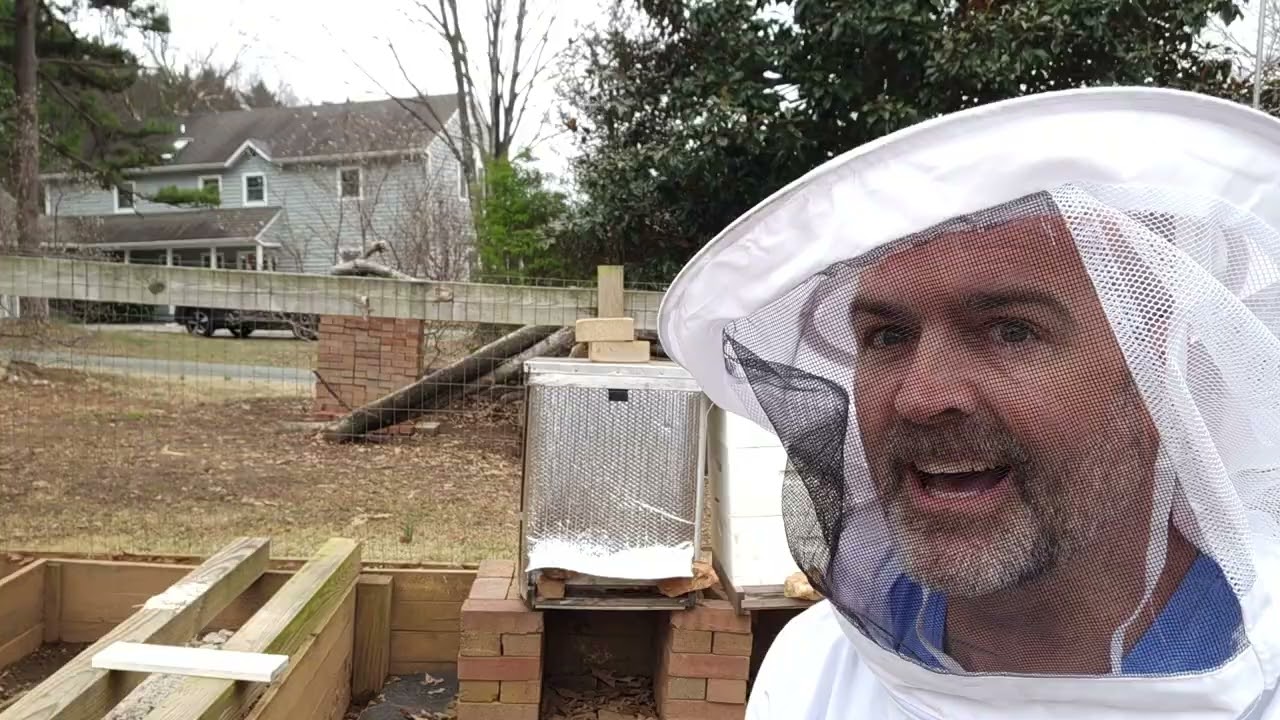 Prepping for Spring: removing insulation off hives