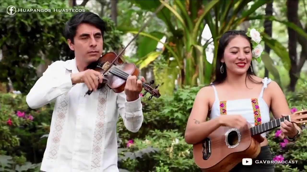 Un rato de Huapangos Huastecos!