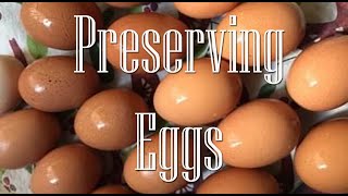 How I Preserve Eggs for when the Hens are on Strike