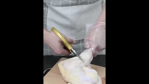 Kéo Nhật - Cắt Gà Như Cắt Giấy