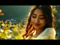 Ya Qamari ي ا ق م ر ي New Arabic Song DinDil Music