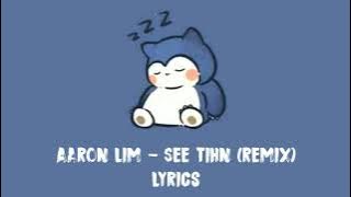 Aaron Lim - See Tinh [remix] '2   2 is 4, oh wait 4 letters in chinese' lyrics video