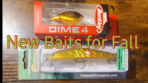 Newly Released Baits From Tackle Warehouse