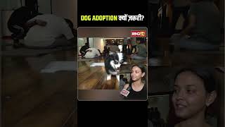 Dog Adoption क्यों ज़रूरी ? Pet Yoga Raipur Event 2026 | Ground Report
