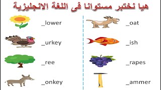 اذا تجاوزت كل مراحل الإختبار بنجاح فأنت تتقن اللغة الانجليزية !!