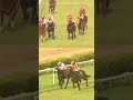 🏇🔥 Mumbai Live Race – Today Oh my goodness… 🤯What a finish!🤯#horse #race #sports #mumbai #livestream