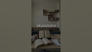 #هزاع_البلوشي #تلاوة_خاشعة #قران_كريم #اكسبلور #قران_كريم #quran  #ارح_قلبك