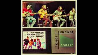 The Sheepdogs Live @ Yonge:Dundas Square