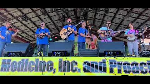 Today I Started Loving You Again  / The Grascals