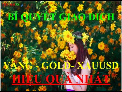 eosusd 2022 Bí quyêt vào lệnh chính xác với VÀNG ( XAUUSD - GOLD)