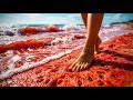 Which beach would you like to take a walk on? 어느 해변에 가장 가보고 싶으세요? | AI ASMR