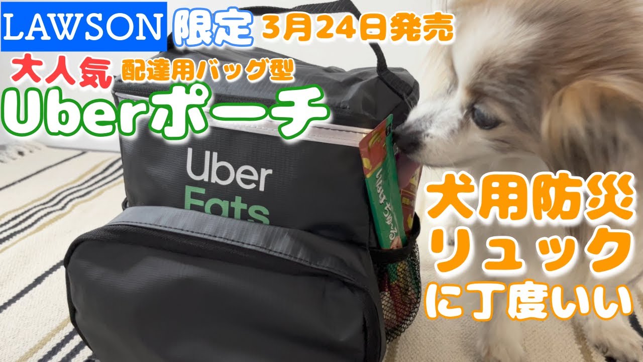 税込1 980円 ウーバーイーツ配達用バッグ 型ポーチが愛犬の防災用リュックに丁度いい ローソン限定 雑誌付録 犬vlog Youtube