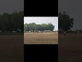 #short #shorts #youtubeshorts #cricket