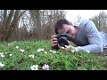 How to Photograph Woodland Flowers - Spring Wood Anemones