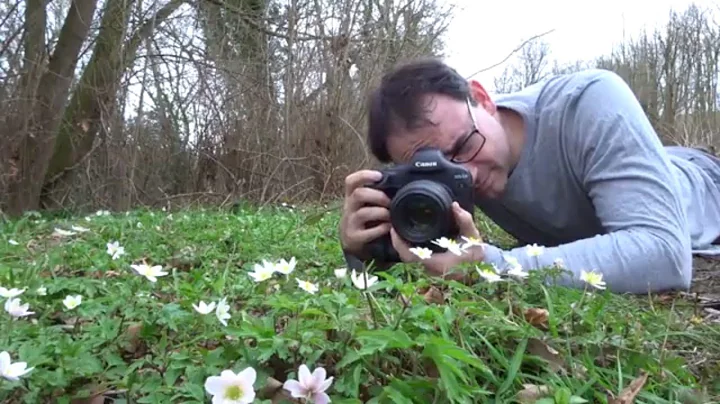 How to Photograph Woodland Flowers Hand-held (Canon 1DX & Canon 100mm f/2.8 Macro Lens) - DayDayNews