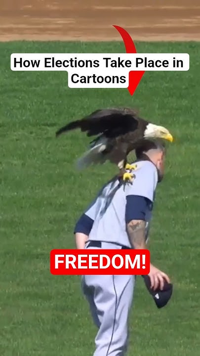 image of Eagle Baseball 'Merica - YouTube