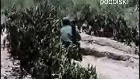como destruir un tanque