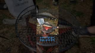 2022/4/9~4/10 #캠핑후기