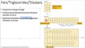 Biochemistry 101: Lipids and Membranes (Lecture 8 of 12)