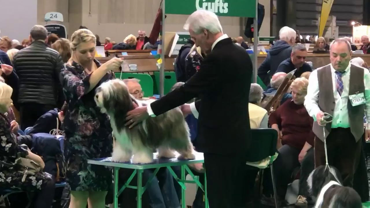 Araki Movies. Crufts 2019