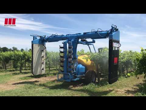 Nebulizzatore Elettrostatico Whirlwind M612 - Duo Wing Jet 1500 l, Trattamento su Vigneto a 100 l/ha