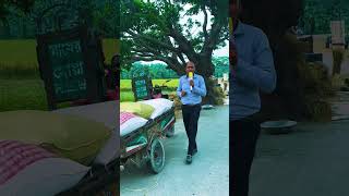 ঝড়ে ভেঙে গেছে ভাইরাল আম গাছ, গাচুয়ার কান্দা বিল , শুকুন্দী ইউনিয়ন ,মনোহরদী, নরসিংদী