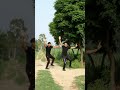 Paani Panja Dariyanwan Da Satinder Sartaaj Nitin Sharma Karan Sharma mp3