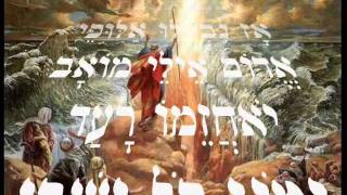 שירת הים - סגיב כהן