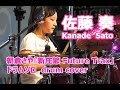 佐藤奏 ドラム ソロ / 朝倉さや『新庄節 Future Trax』Saya Asakura / Kanade Sato (13)  drum cover/ drum solo live 2017