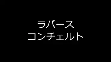 ラバースコンシェルジュリコーダー ラバースコンシェルジュリコーダー