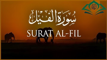Surah Al Fil  | سورة الفيل |@SukonAlQuran
