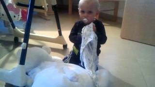 Eisb�r kuscheln