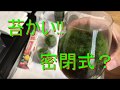苔グラスの紹介とメンテ、密閉式？