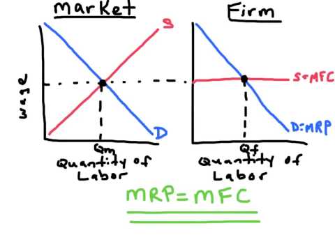 Perfectly Competitive Labor Markets - AP Microeconomics