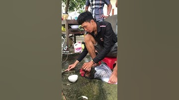 cách cắt cổ gà mà k bị nhất tay