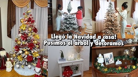 PUSIMOS EL ÁRBOL DE NAVIDAD🎄 DECORAMOS🎅 ASÍ HA QUEDADO ESTE AÑO❤️ 15 AÑOS EN RUSIA | 14 Nov 2023