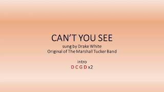 Video thumbnail of "Can't You See - The Marshall Tucker Band cover by Drake White - Easy chords and lyrics"