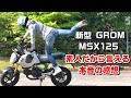 ホンダ新型グロム! 素人だから言える本音の感想 の動画、YouTube動画。