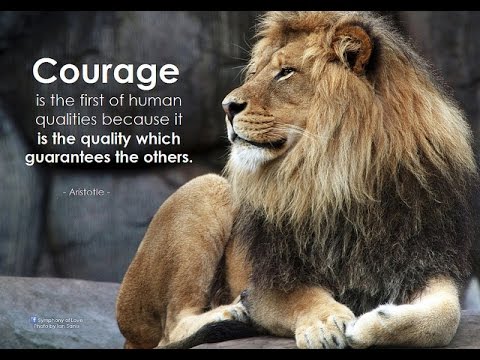 60 Selected Sayings Of Wisdom By Great Personalities YouTube Fascinating Great Sayings 60 Selected Sayings Of Wisdom By Great Personalities YouTube Fascinating Great Sayings