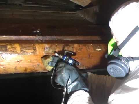 Trattamento antitarlo travi in legno youtube Trattamento tarli legno