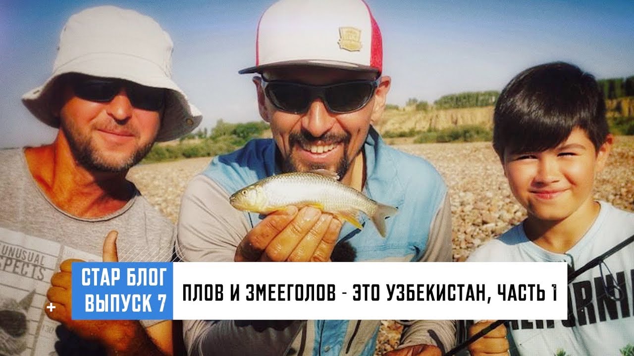 СТАРБЛОГ- Плов и змееголов - это Узбекистан