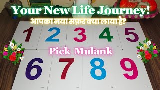 Your New Journey Naya Safar Kya Lekar Aaya Hai Pick A Card Hindi Tarot Reading Timeless