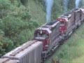 TREM SETE 7 LOCOMOTIVAS ACELERANDO LONDRINA   BRASIL By FARINA