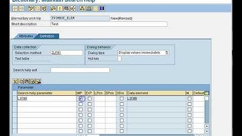 SAP ABAP  Search Help elementary Vimbue avi