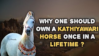 WHY ONE SHOULD OWN A KATHIYAWADI HORSE ONCE IN A LIFETIME ?