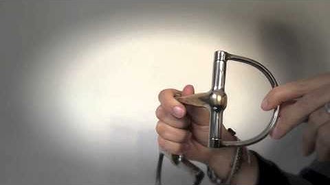 Bit of the Week  - the Balancer Dee Ring Snaffle